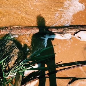 Meet your Posher, Riley